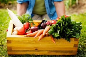 Box of fresh vegetables from the garden