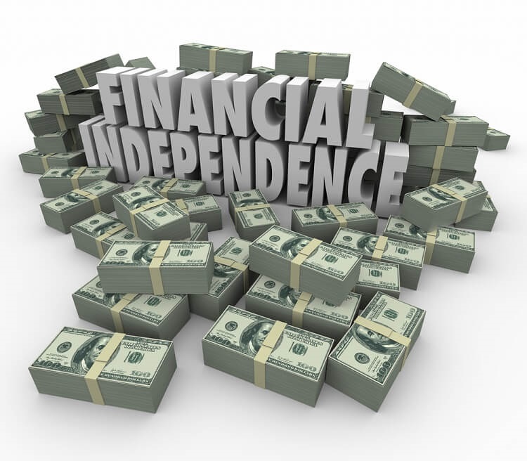 ESI Scale Financial Independence Calculator ESI Money