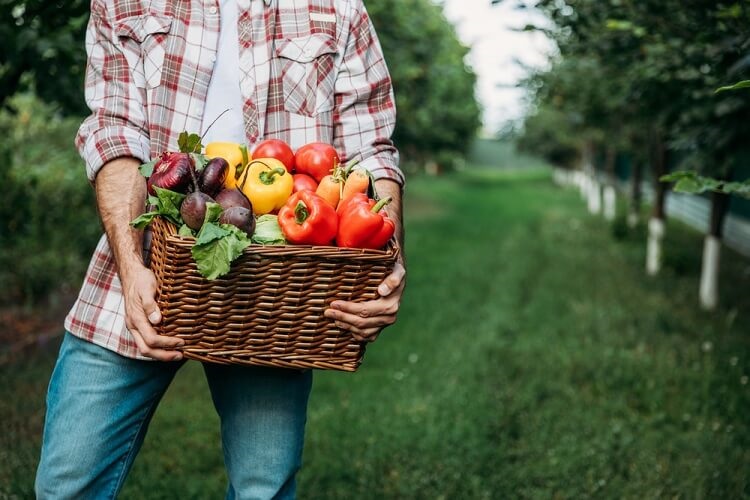 retirees make money at farmers market